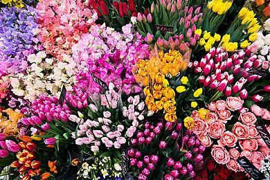 Fami通新一期销量榜 《宝可梦晶灿钻石／明亮珍珠》六连冠